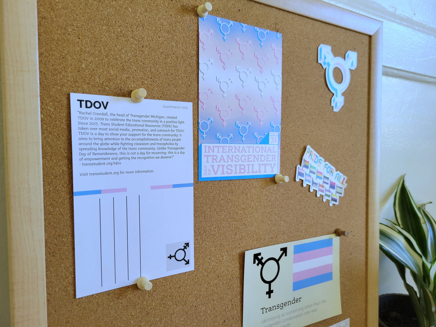 Transgender Day of Visibility postcard