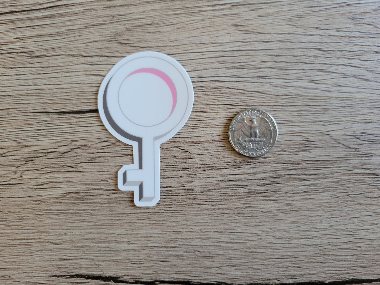 Demigirl pride symbol sticker