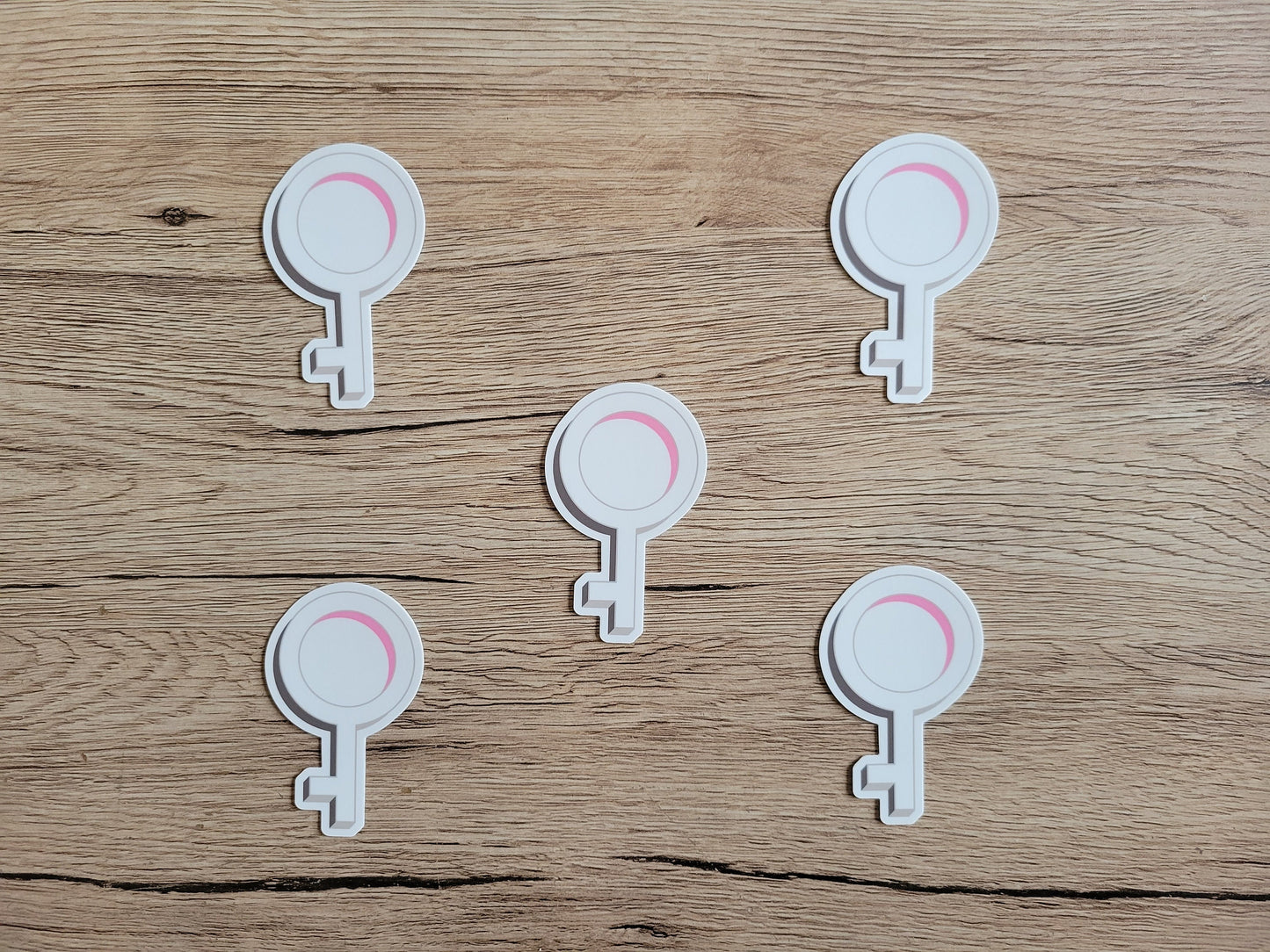 Demigirl pride symbol sticker