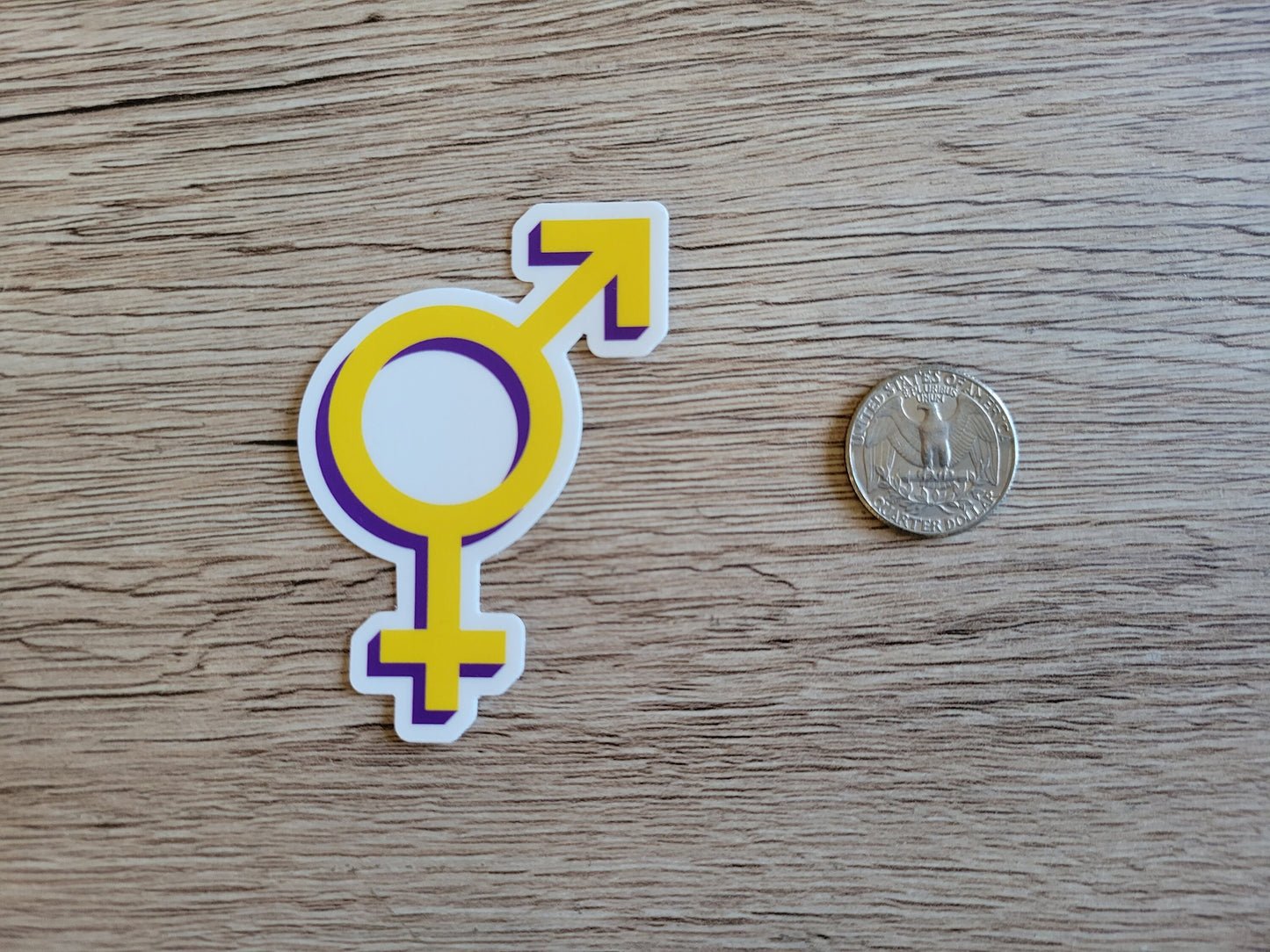 Intersex pride symbol sticker