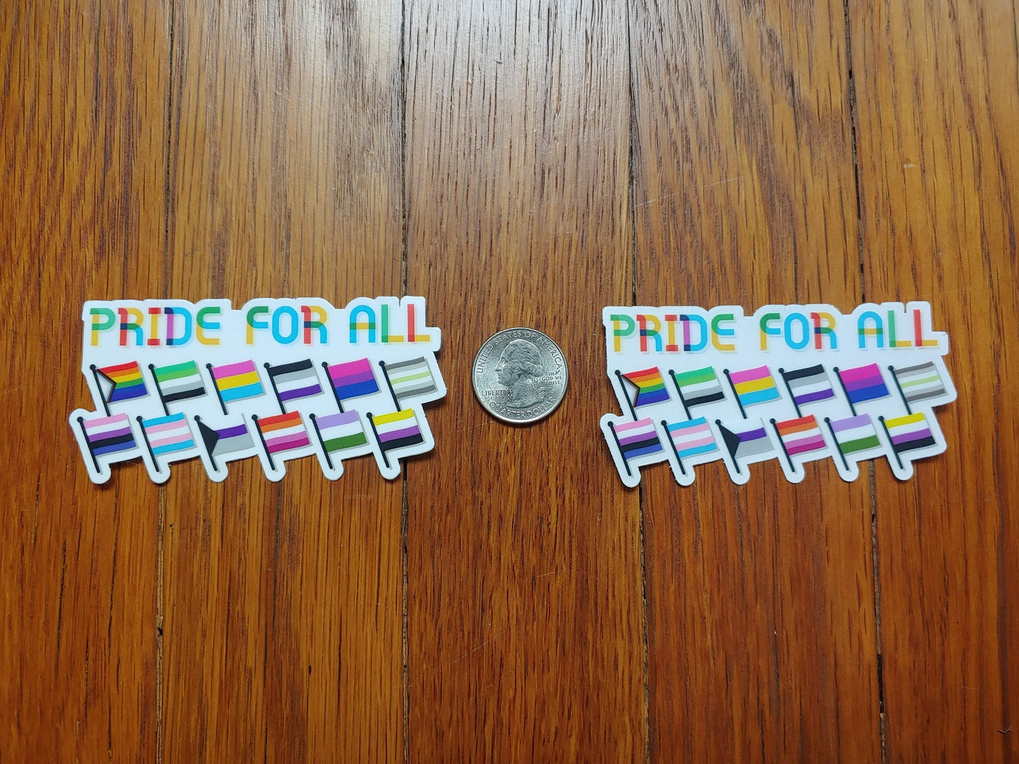 Pride For All - 12 flags sticker