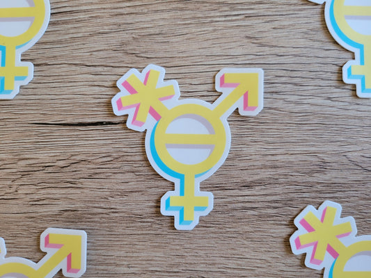 Genderflux pride symbol sticker